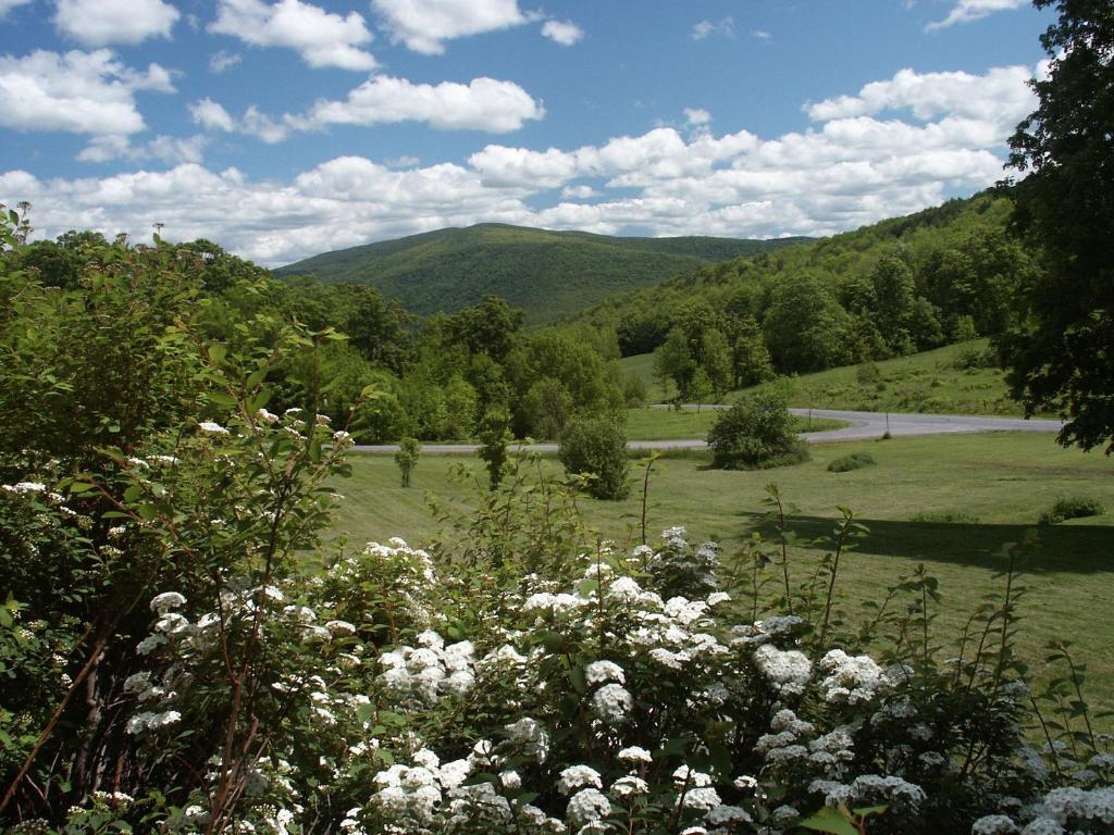 Margaretville Mountain Inn B&B Экстерьер фото